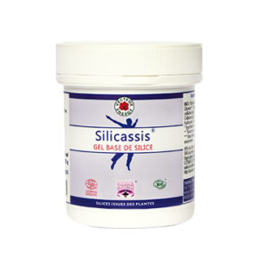 Silicassis gel base de silice**** 100g