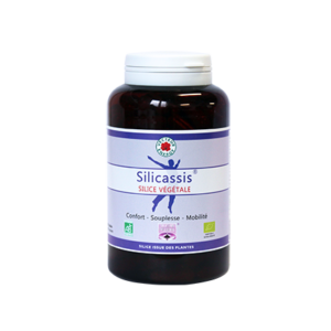 Silicassis* 300mg 180 gelules vegetales