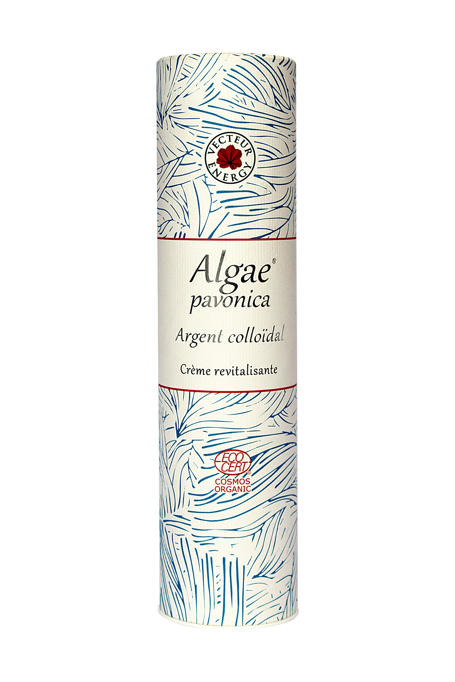 Algae Padina Pavonica Crème