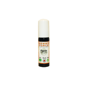 Gemmotherapie Gemmoforce Figuier* 30 ml spray
