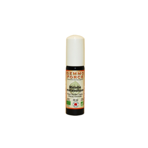 Gemmotherapie Gemmoforce complexe Maladie metabolique* 30 ml spray