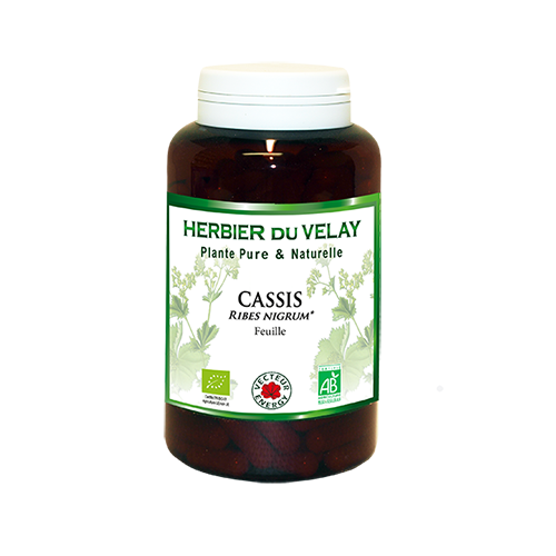Cassis- Bio* - 180 gélules