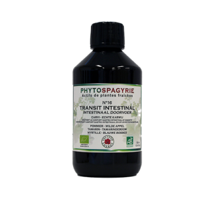 Synergies Phytospagyrie N16* : TRANSIT INTESTINAL 300ml