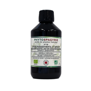 Synergies Phytospagyrie N19* : STRESS PASSAGER MENTAL ET OXYDATIF 300ml