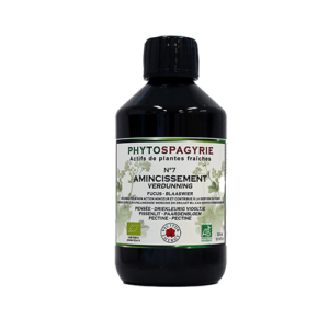 Synergies Phytospagyrie N7* : AMINCISSEMENT 300ml
