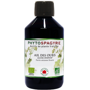 Phytospagyrie de plante fraiche Ail des ours* 300ml