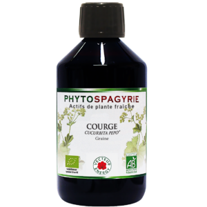 Phytospagyrie de plante Courge* 300ml