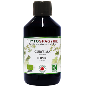 Phytospagyrie de plante Curcuma-Poivre* 300ml