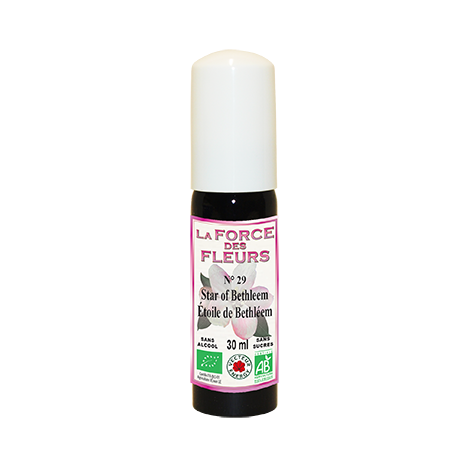 La Force des Fleurs - Etoile de Béthleem / Star of Bethlehem N°29 - 30 ml