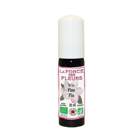 La Force des Fleurs - Pin / Pine N°24 - 30 ml