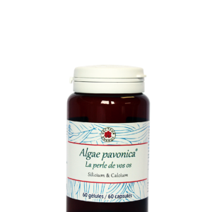Conditionnement Padina Pavonica 60 gelules vegetales 500mg