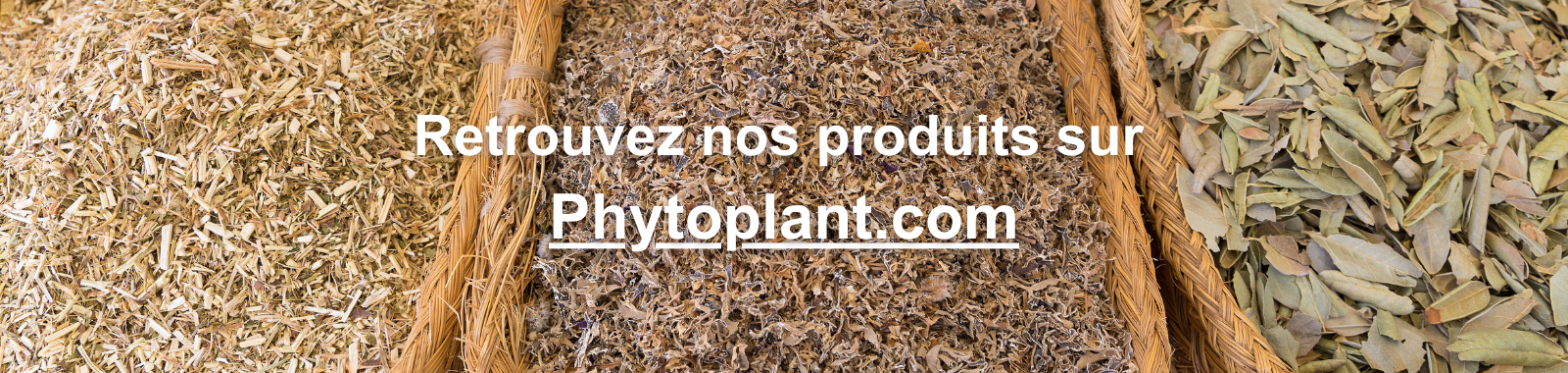 Bannière VE - Phyto