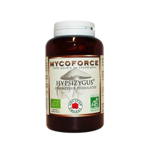 Conditionnement Myco force Herbier du Velay Hypsizygus* 180 gelules marines300mg