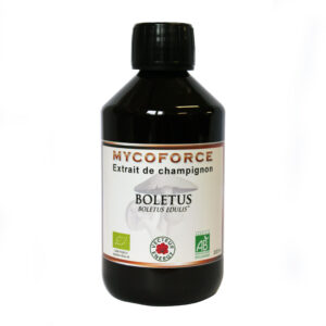 Conditionnement Extrait de champignon concentre Mycoforce Boletus* 300ml
