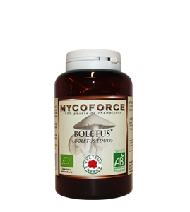 Conditionnement Myco force Herbier du Velay Boletus* 180 gelules 400mg