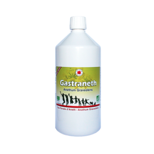 Gastraneth* 1 litre