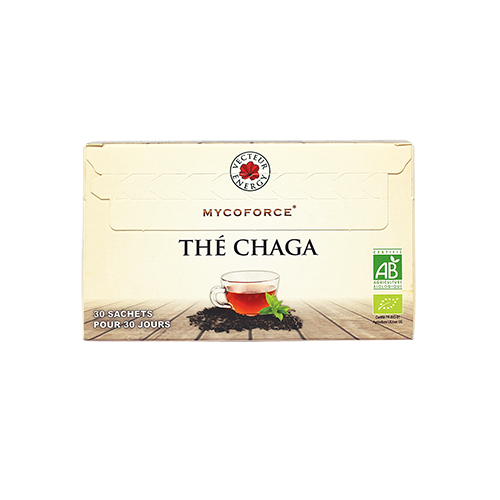 Thé chaga