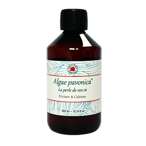 Algae Padina Pavonica 300ml