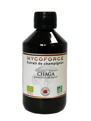 Chaga 300