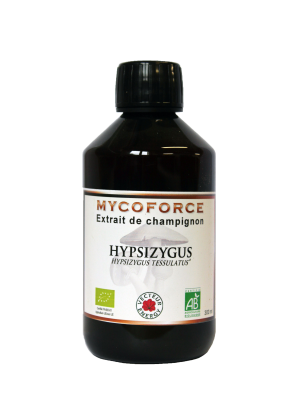 Hypsizygus 300