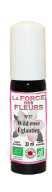 force des fleurs églantier