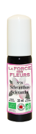 force des fleurs scléranthe